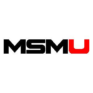 MSMU (Play&Sync) (Toronto)